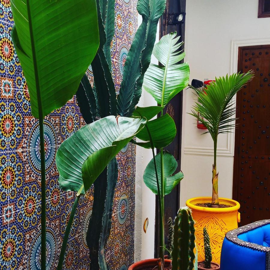 מרקש Riad Heklek מראה חיצוני תמונה